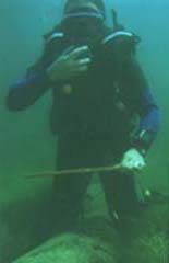 sampling under water an increment borer
